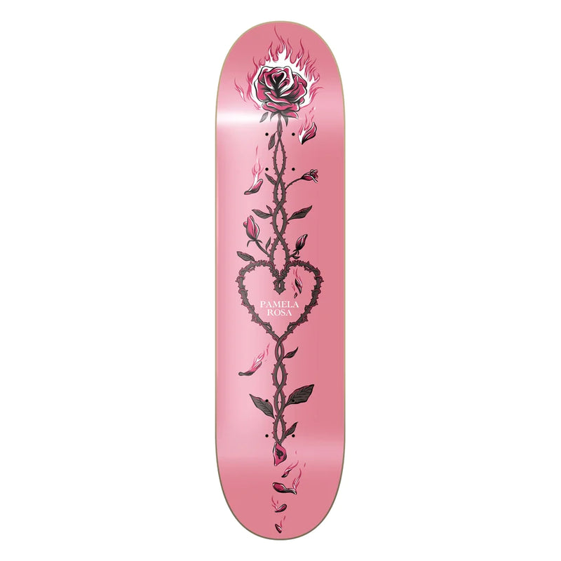 Shape Posso Marfim Pamela Rosa Hard Rosa 8.25