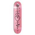 Shape Posso Marfim Pamela Rosa Hard Rosa 8.25