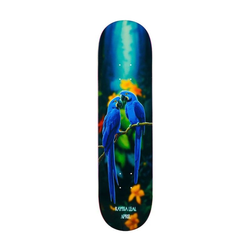 Shape April Maple Rayssa Leal Arara Azul 8.25