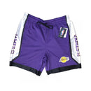 Short NBA Los Angeles Lakers King Court Player Suggested James 23 Purple