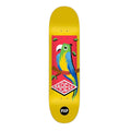 Shape Flip Maple Grotto Lucas Rabelo 8.0